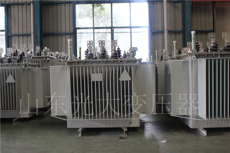 滨江S20-500KVA/10KV